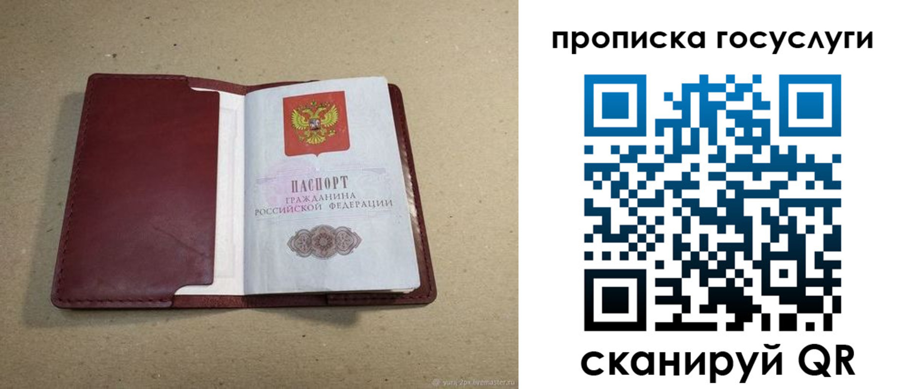 прописка поиск в Кировграде